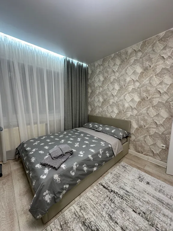 Большая светлая квартира в центре города