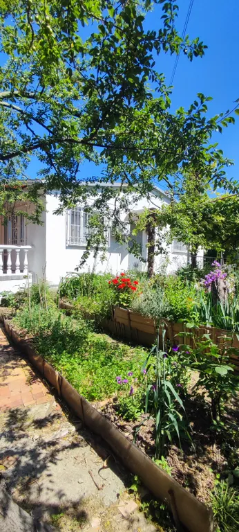 Коттедж Дом для отдыха в Сочи — Сочи