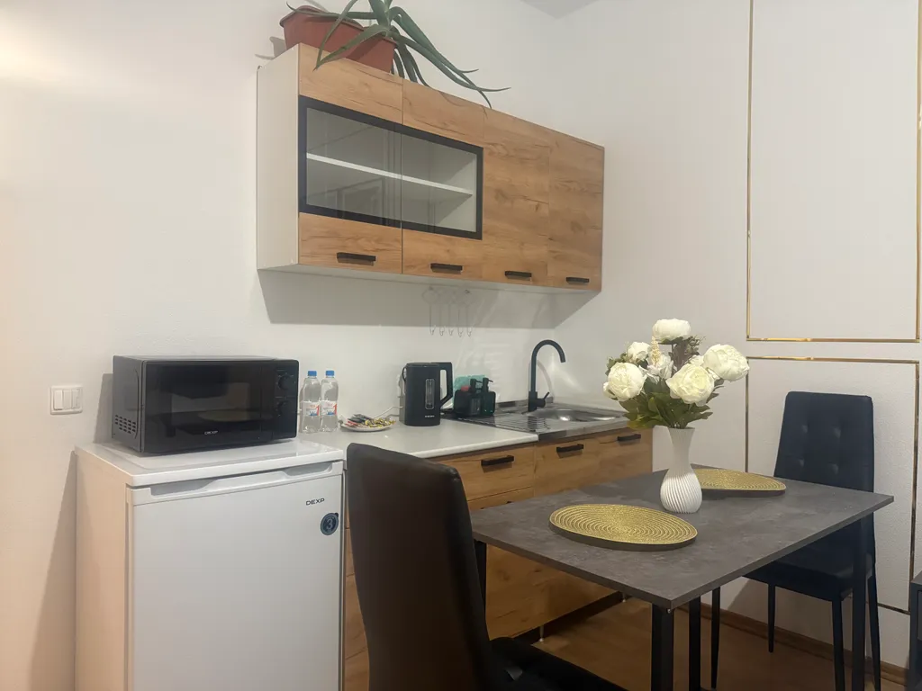 Студия для семейного отдыха и командированных