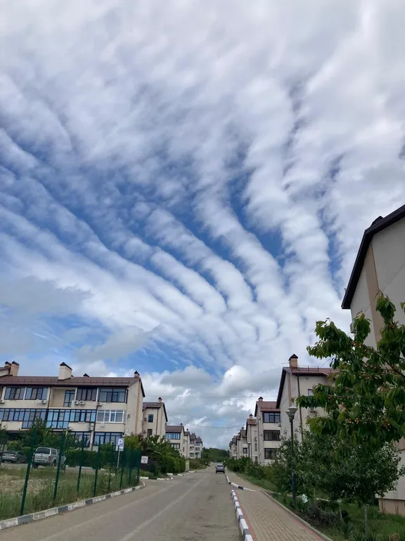 Квартира с видом на лес и море