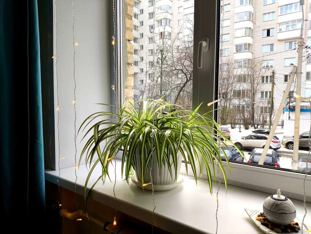 Уютная квартира в центре города для 6