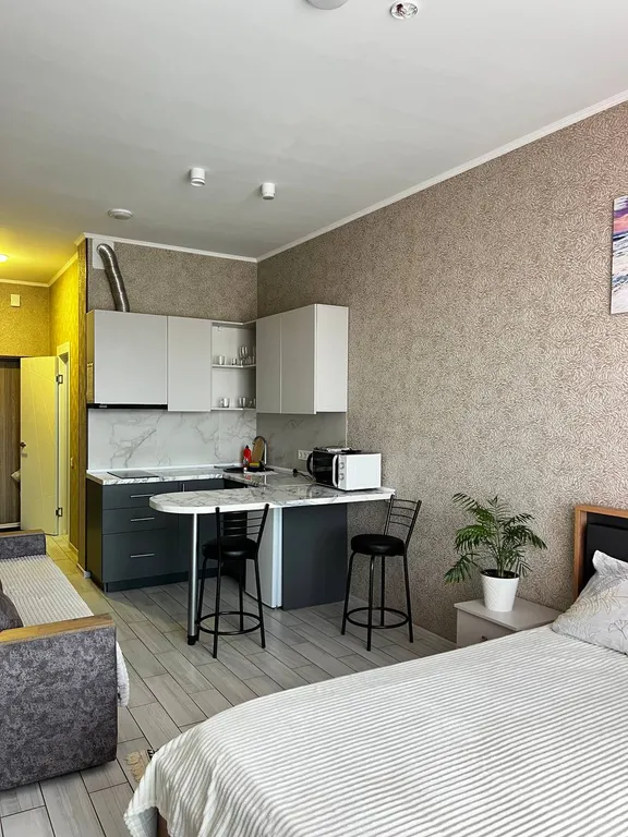 Квартира студия посуточно