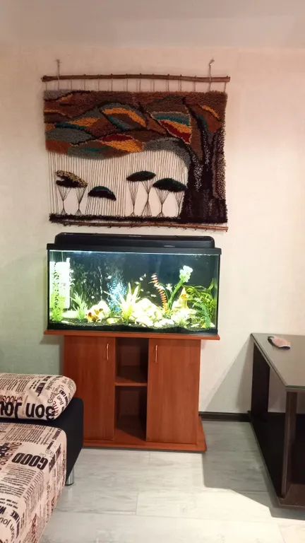 Уютная квартира