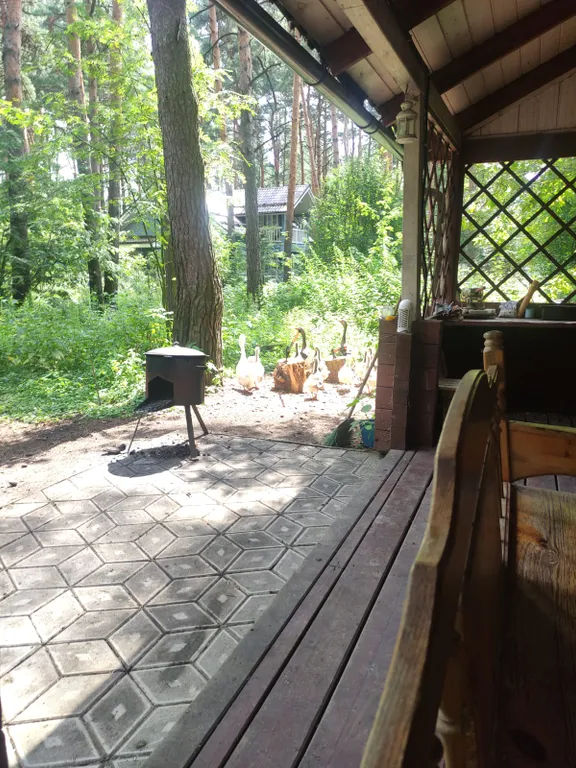 Уютный коттедж в сосновом лесу рядом с Москвой