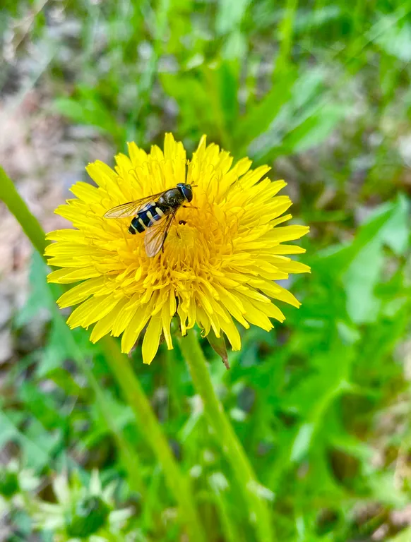 Дом на озере Увильды