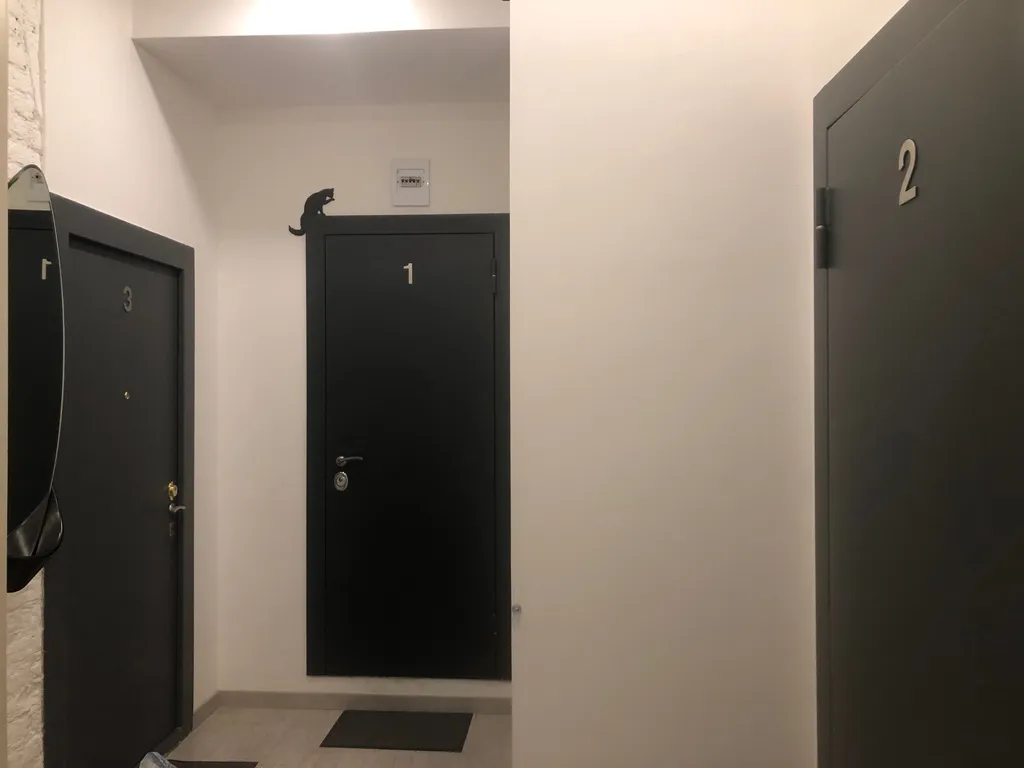 Большая квартира у Мариинского театра