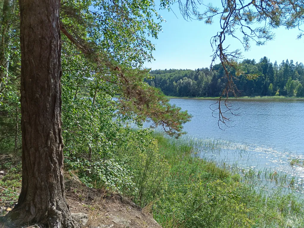 Дом на берегу залива Мусталанлахти