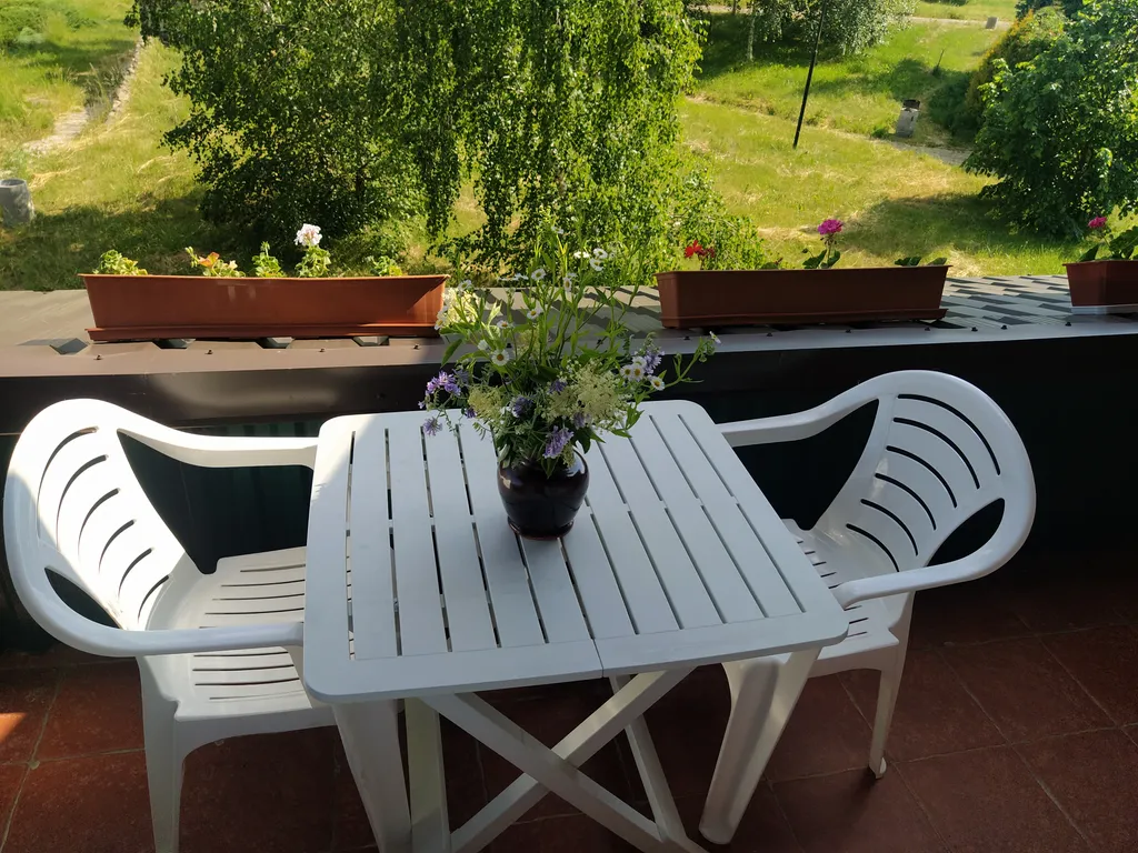 Квартира Апартаменты с видом на парк — аренда посуточно в Заостровье