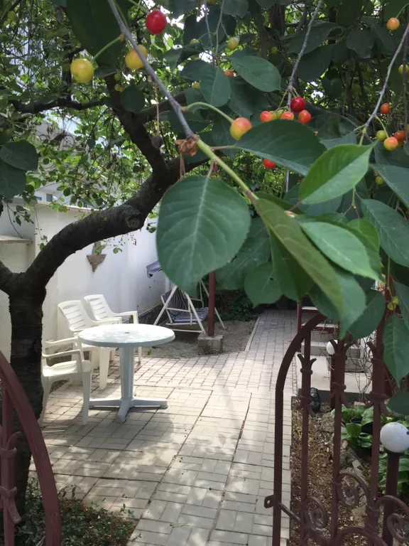 Уютный двухэтажный коттедж  с садом