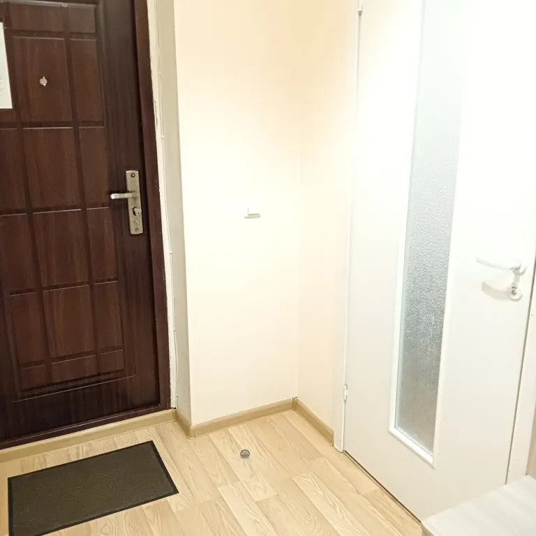 Квартира в центре города с видом на Покровскую башню и реку Великую