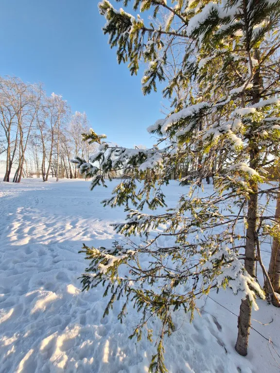 Загородный дом в Карелии