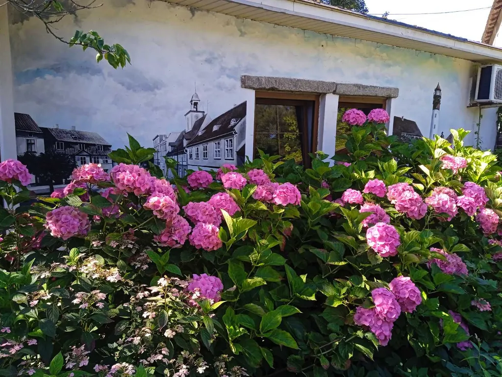 Уютные апартаменты в частном доме