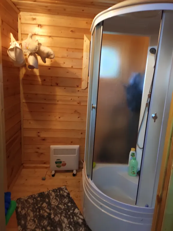 Домик-баня на берегу реки Псижа и выходом в озеро Ильмень