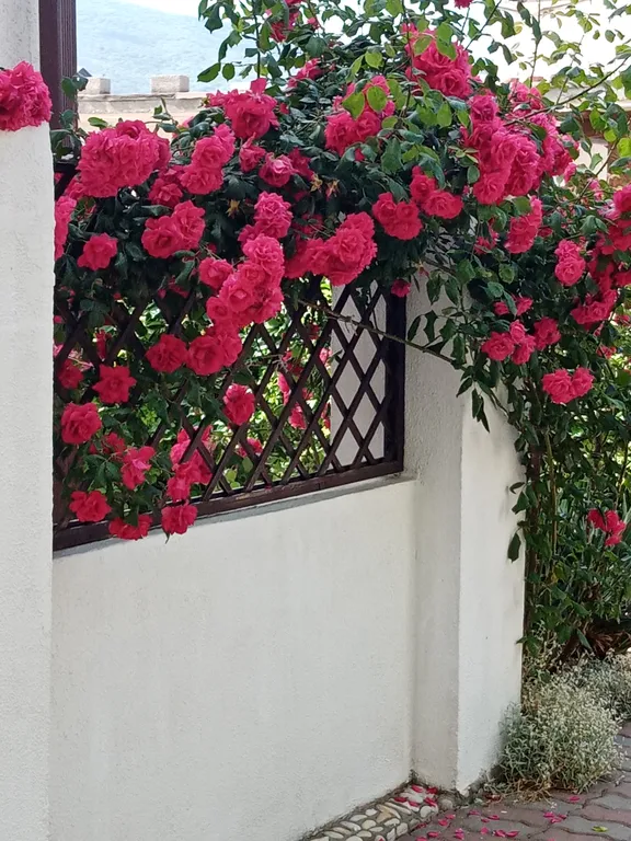 Комната с видом на горы