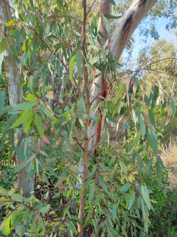 Квартира с видом на море и горы из всех окон