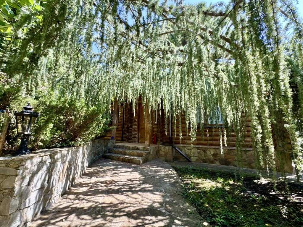 Шикарный дом в заповедной зоне в Ялте