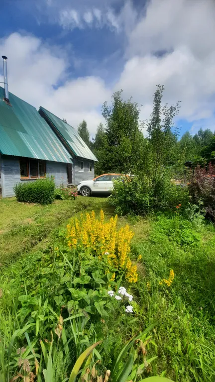 Домик Уют Самана в Родовом поместье в лесу