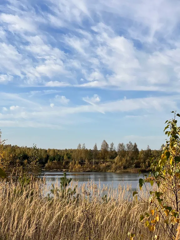 Коттедж в сосновом бору