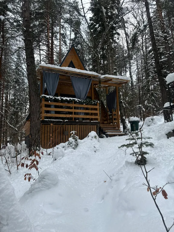 Домик в лесу