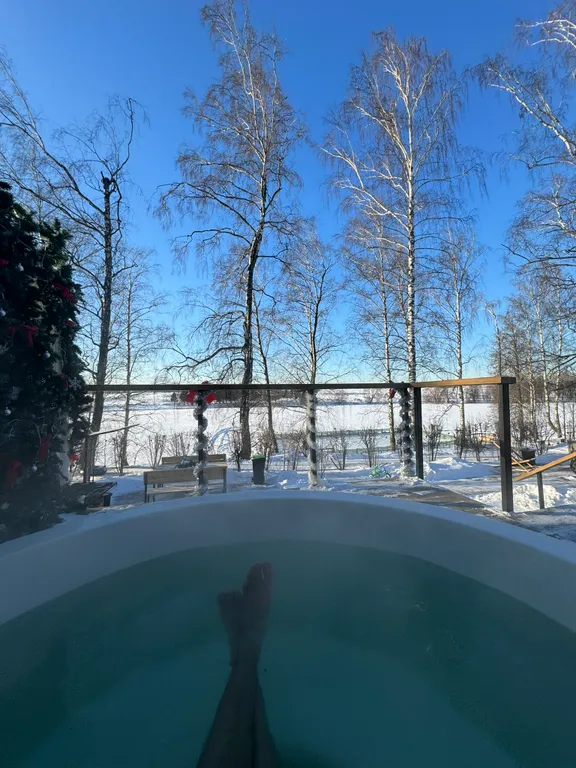 Современный дом у озера с купелью и своим катком. В феврале скидки