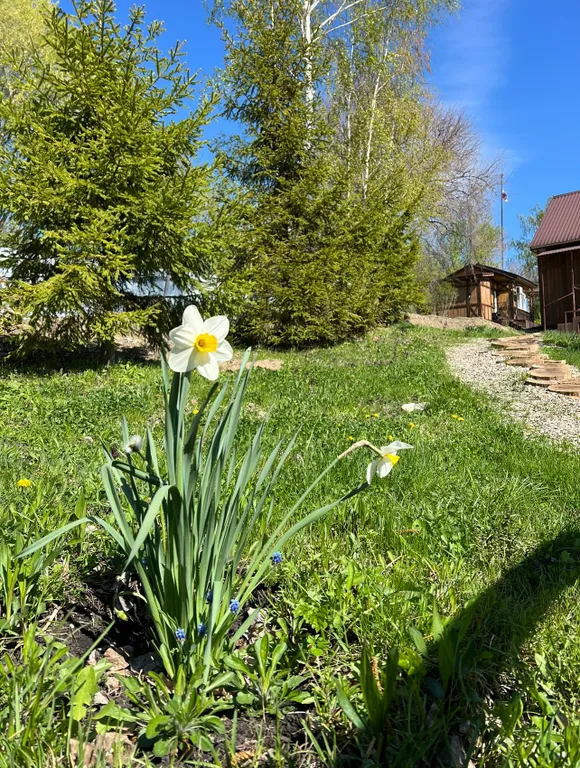 Дом с мангалом и баней