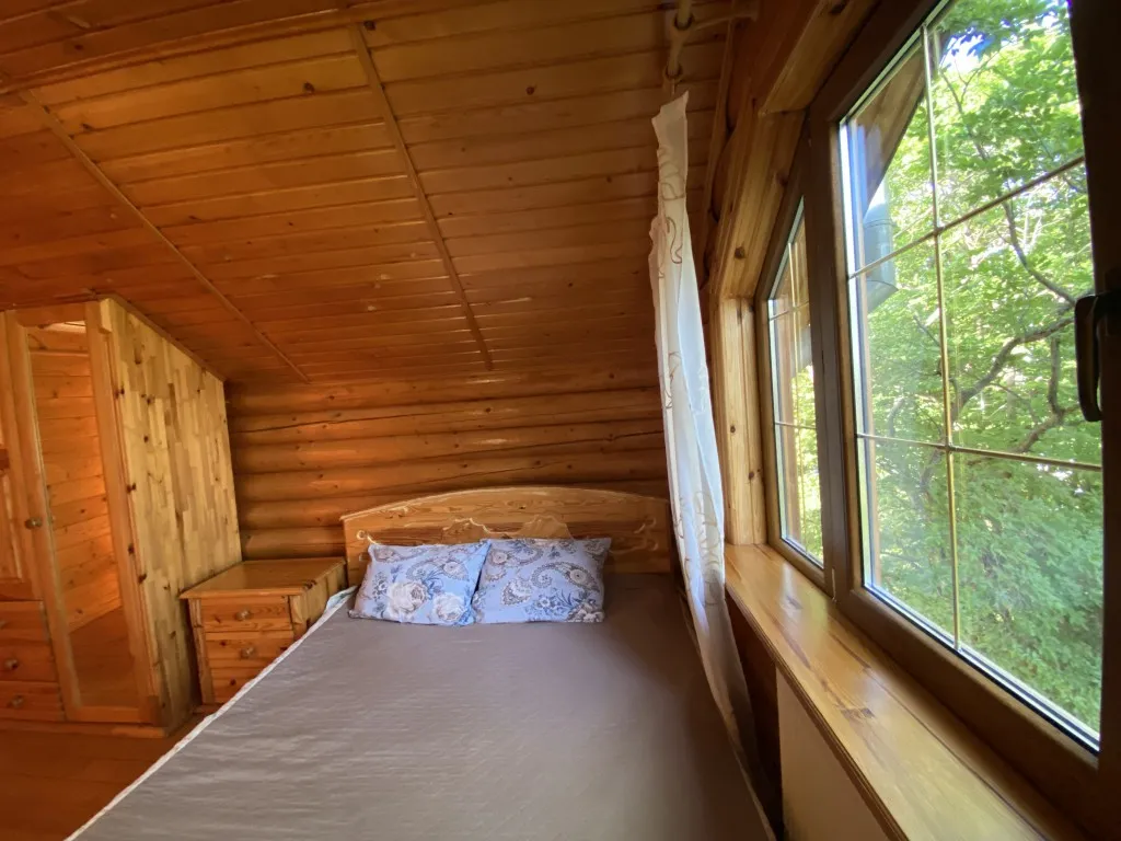 Сруб c бассейном и сауной