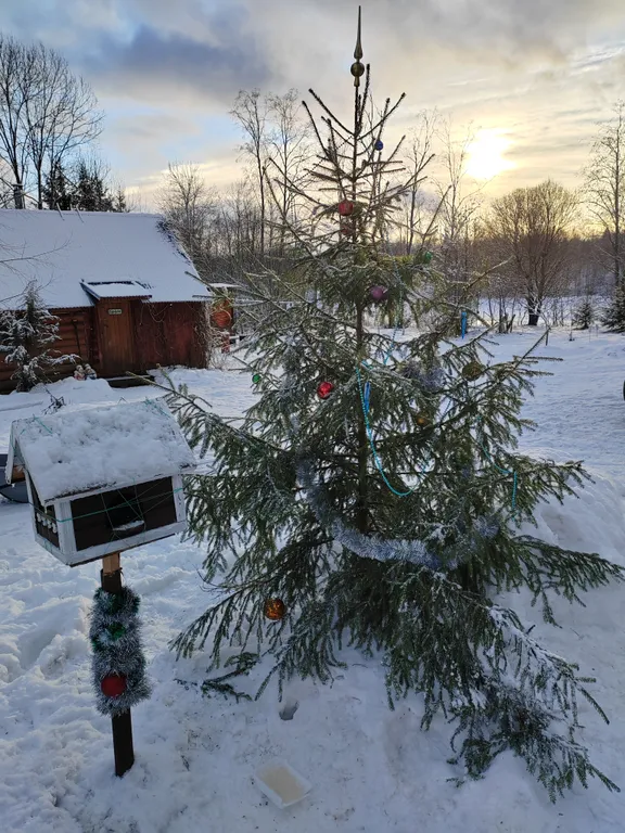 Домик на озере в глуши