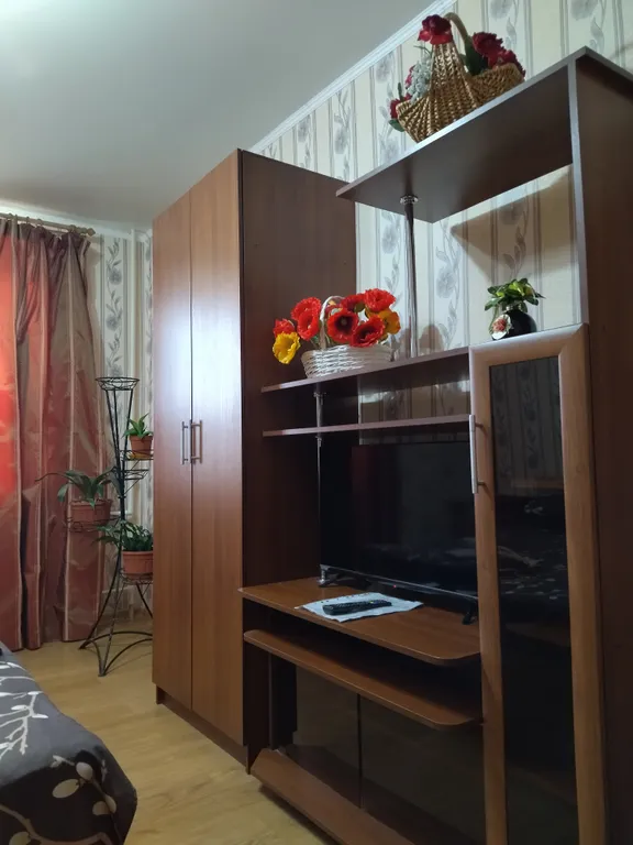 Квартира с красивым видом из окна