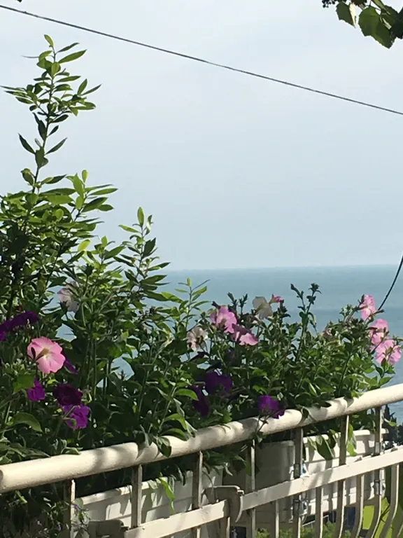 3-х местная комната с кондиционером с прямым видом на море