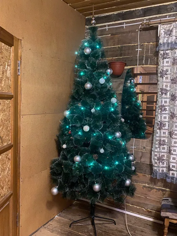 Уединенный дом у леса вблизи г.Ишим