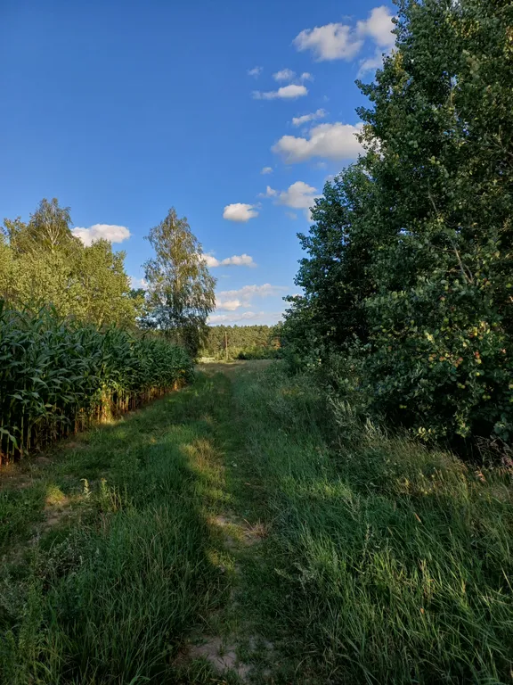 Уютный домик в Беловежской пуще, для тех, кто ценит тишину