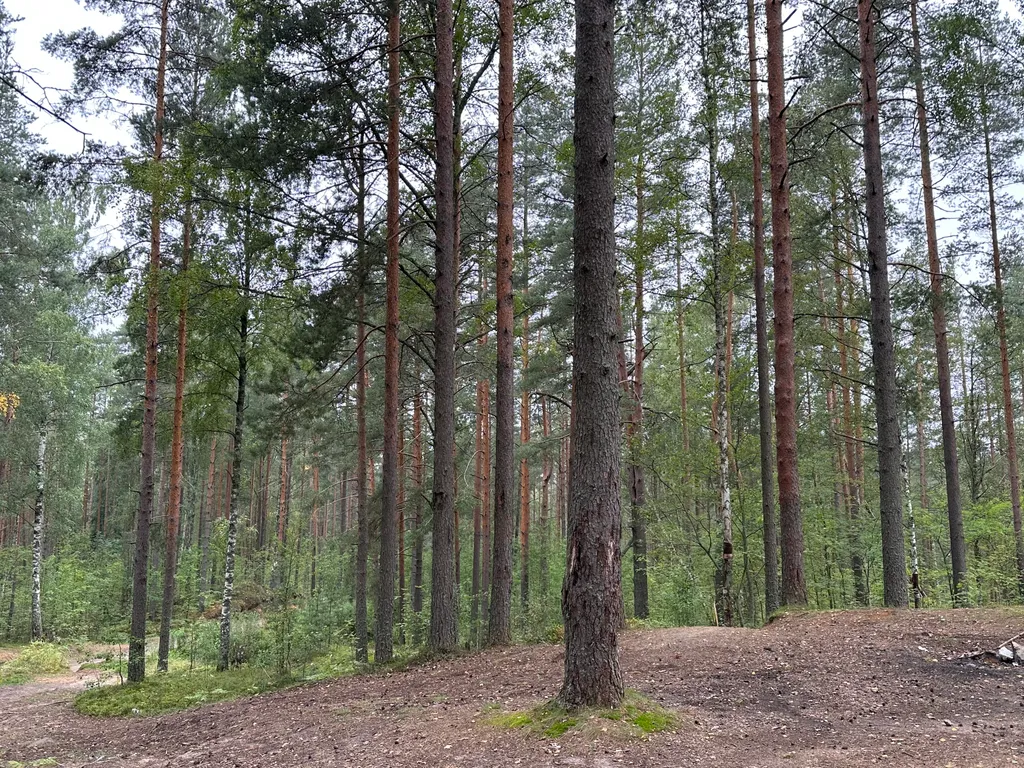 Коттедж Загородный дом с баней на дровах — Санкт-Петербург