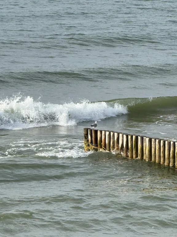 Квартира 5 минут от моря — аренда посуточно в Пионерский