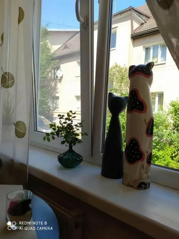 Квартира Прусский Кот  (в историческом районе Ratshof на границе с Amalienau) — аренда посуточно в Калининград