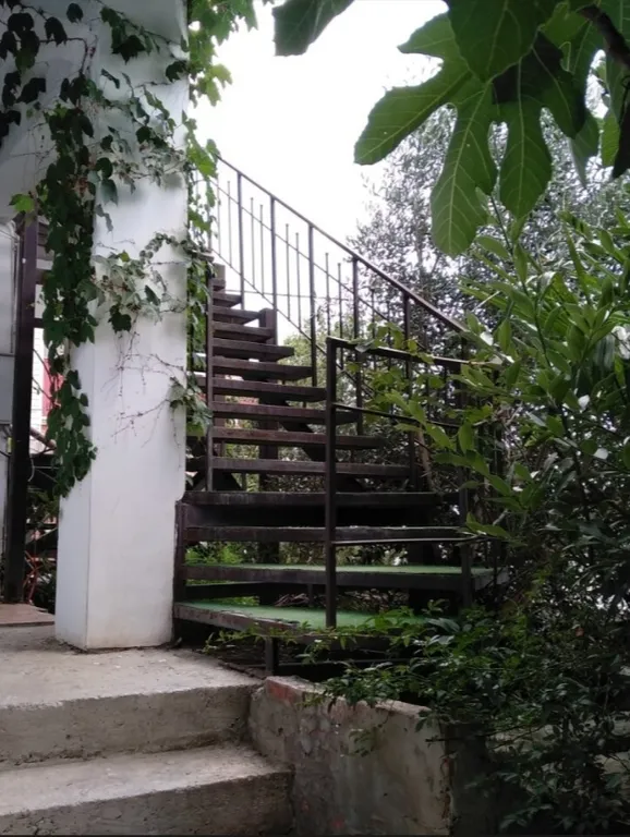 Квартира Квартира Панорамный вид на море, горы и город из окна уютной солнечной студии — Ялта