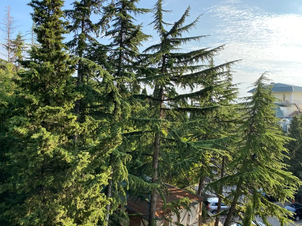 Уютная 2-комнатная квартира в тихом месте