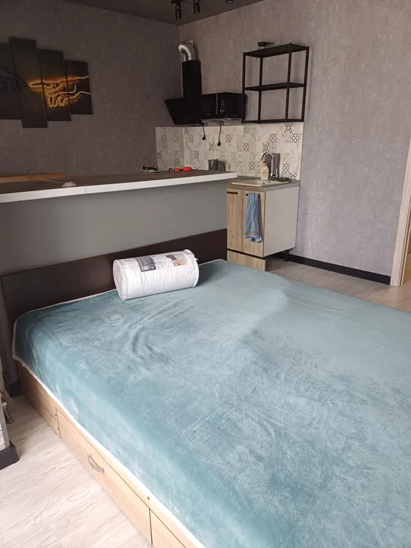 Квартира Квартира Уютная студия у «Мира Термы» в Родниках. Бесконтактное заселение — Новосибирск