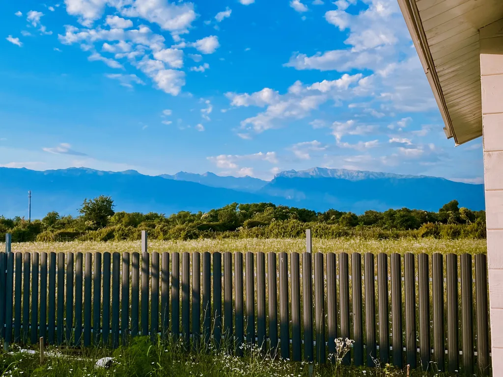 Роза Ветров