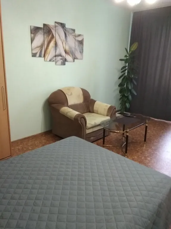 Большая 1-комнатная квартира от собственника