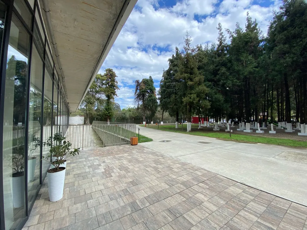 Квартира Роскошные апартаменты с прямым видом на море в Бамбо Бич Цихисдзири — Цихисдзири