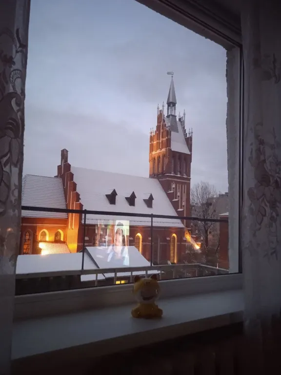 История из окна