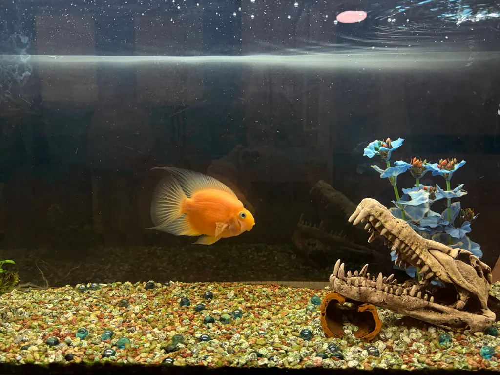 Квартира художницы на красной площади