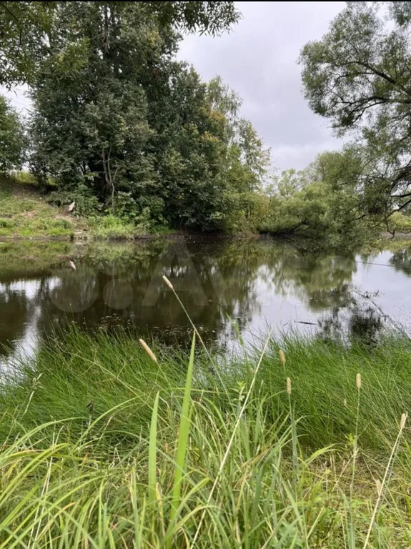 Коттедж Loft коттедж с шикаpным видом на пруд — Шишкино