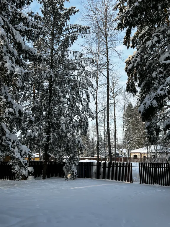 Просторный дом с камином в сосновом лесу