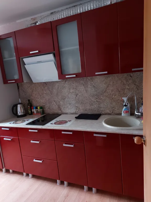 Квартира Квартира в 20 минутах от моря — Светлогорск