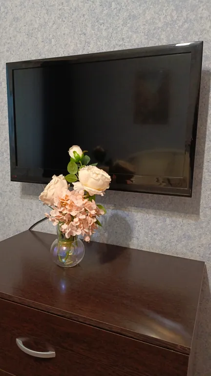 Квартира в центре, рядом с Парком Пушкина