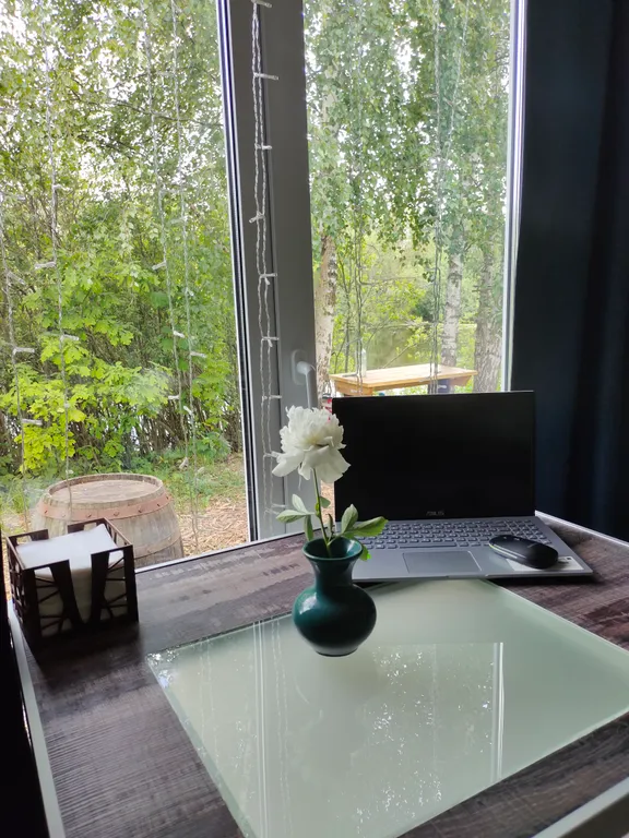 Чудо-дача, дом Капитан на берегу пруда