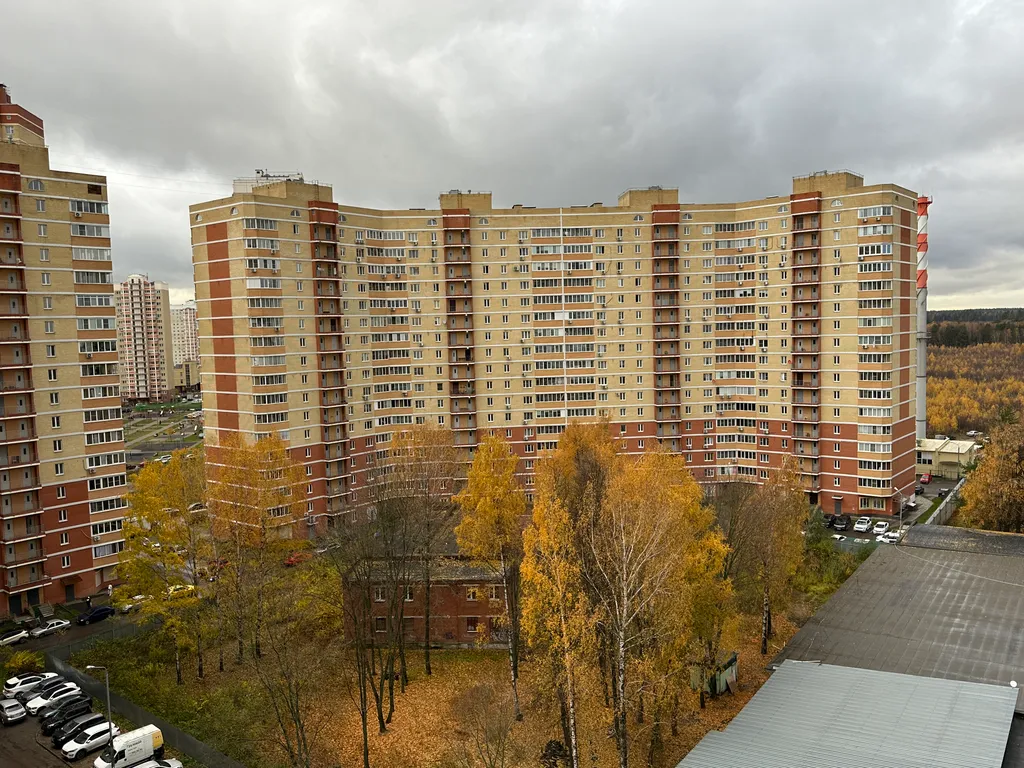 Сказочная студия у Щелковского шоссе