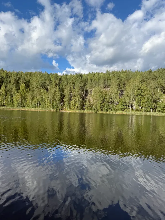 Домик в лесу с озером