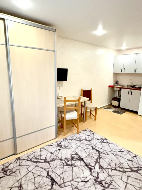 Студия в загородном доме